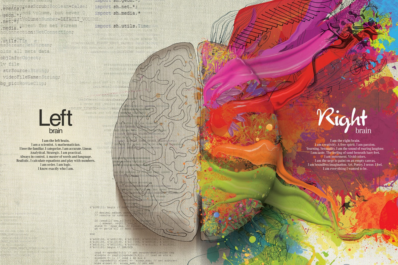 Left brain rendered as grey analytical line-work beside a vividly coloured creative right brain